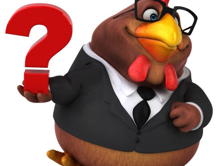 Czy kogut znosi jajka – fakty i mity