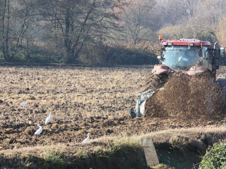 Do kiedy można wywozić obornik – przepisy, terminy i ograniczenia