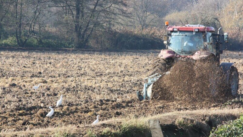 Do kiedy można wywozić obornik – przepisy, terminy i ograniczenia