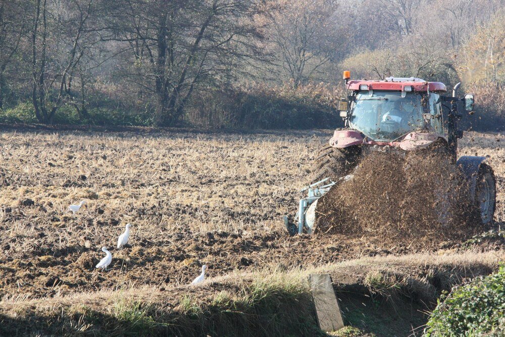 Do kiedy można wywozić obornik – przepisy, terminy i ograniczenia