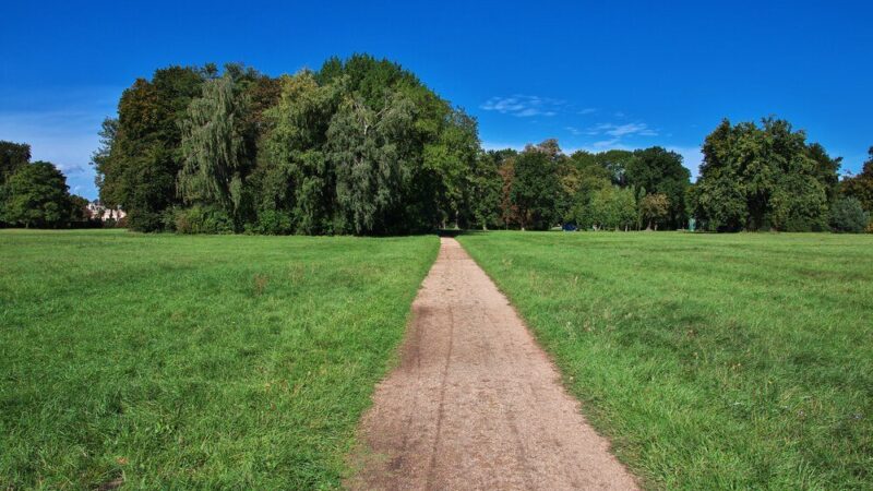 Drugi pokos trawy – kiedy wykonać i jak zaplanować