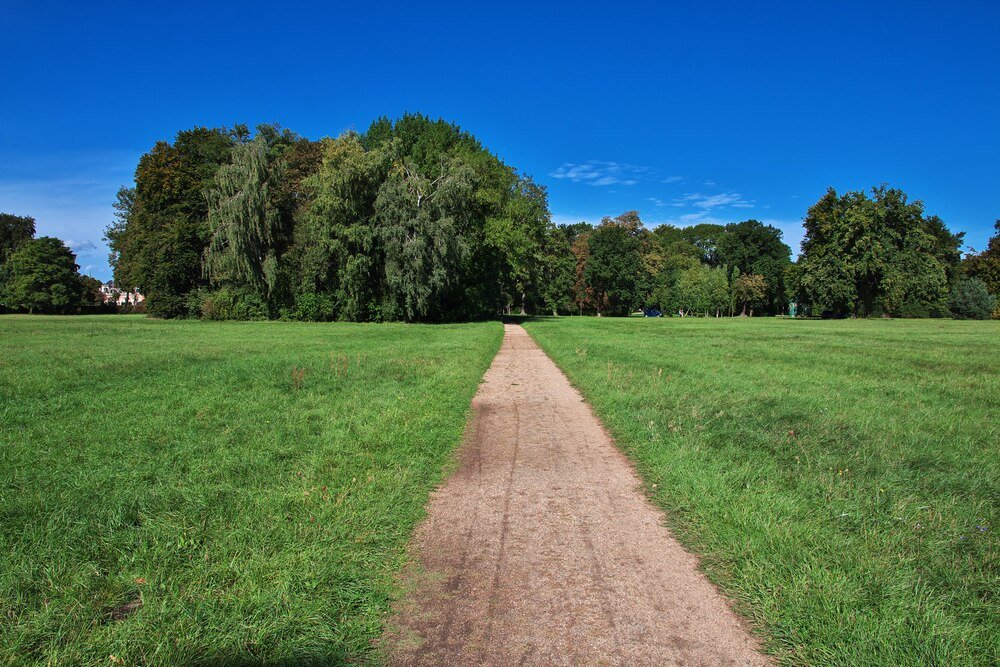 Drugi pokos trawy – kiedy wykonać i jak zaplanować