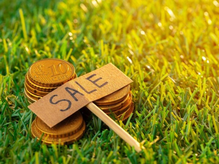 Ile kosztuje hektar ziemi rolnej – aktualne ceny i od czego zależą