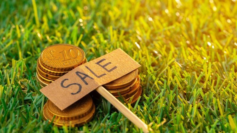 Ile kosztuje hektar ziemi rolnej – aktualne ceny i od czego zależą