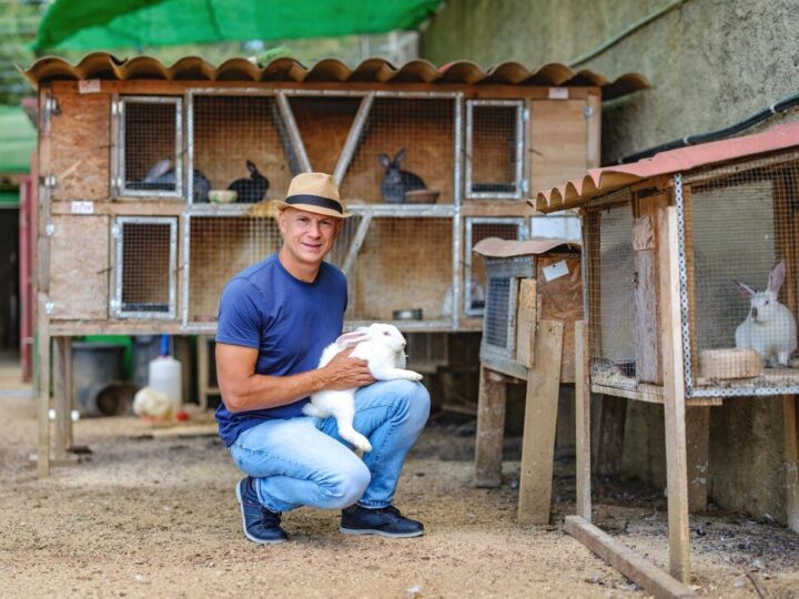 Jak zrobić kurnik – praktyczny poradnik krok po kroku