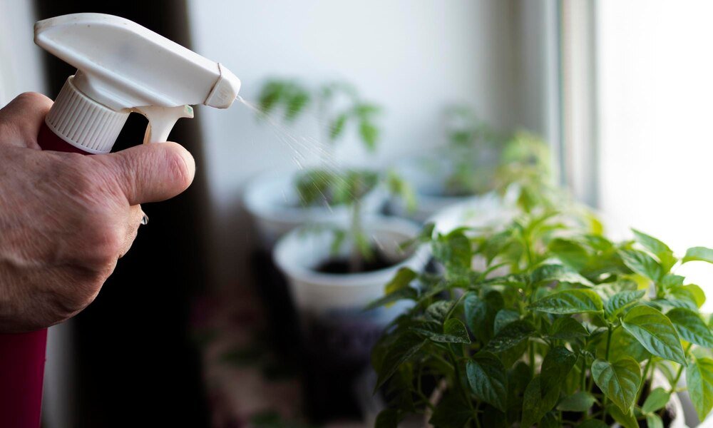 Oprysk z drożdży – zastosowanie w ogrodzie i przepisy