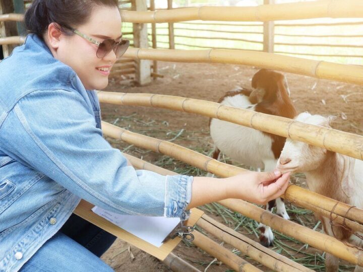 Produkcja zwierzęca – główne gałęzie i znaczenie