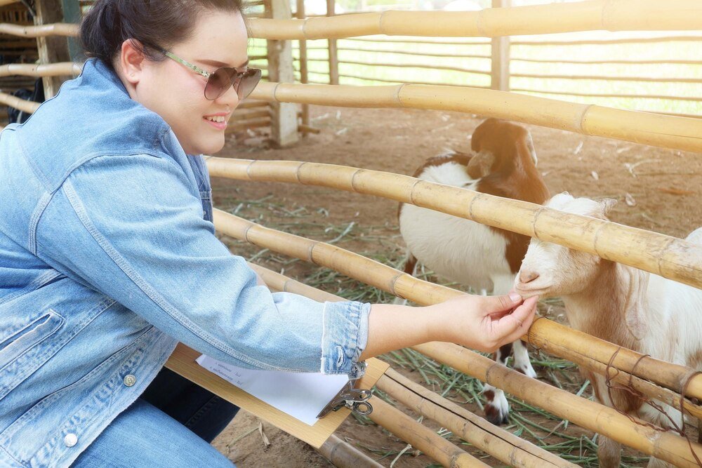 Produkcja zwierzęca – główne gałęzie i znaczenie