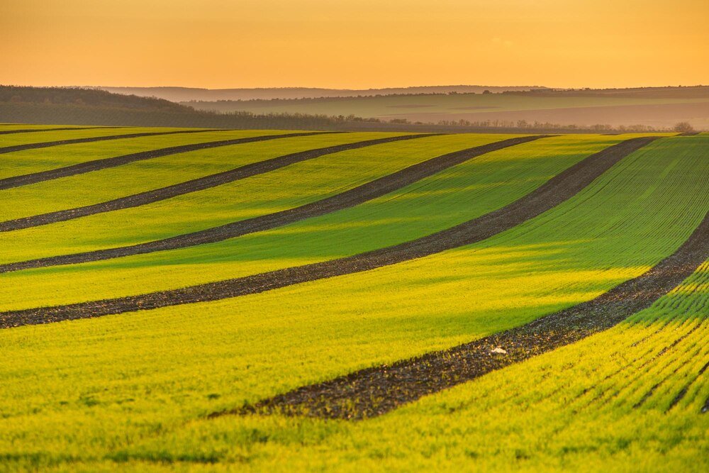 Przyrodnicze czynniki rozwoju rolnictwa – znaczenie i przykłady