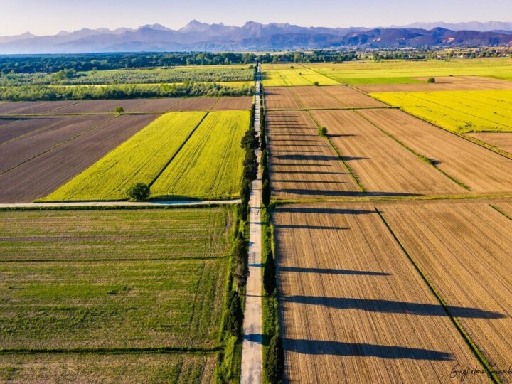 Rolnictwo ekstensywne – cechy, przykłady i znaczenie