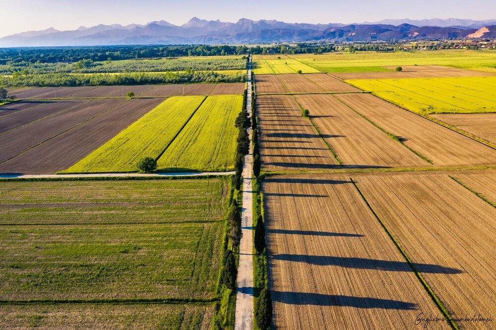 Rolnictwo ekstensywne – cechy, przykłady i znaczenie