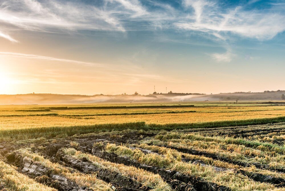 Struktura agrarna – znaczenie dla rozwoju rolnictwa