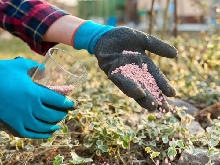 Tabletki do gazowania zboża – jak działają i jak je stosować