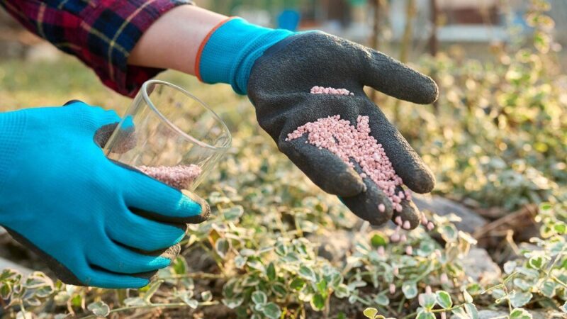 Tabletki do gazowania zboża – jak działają i jak je stosować