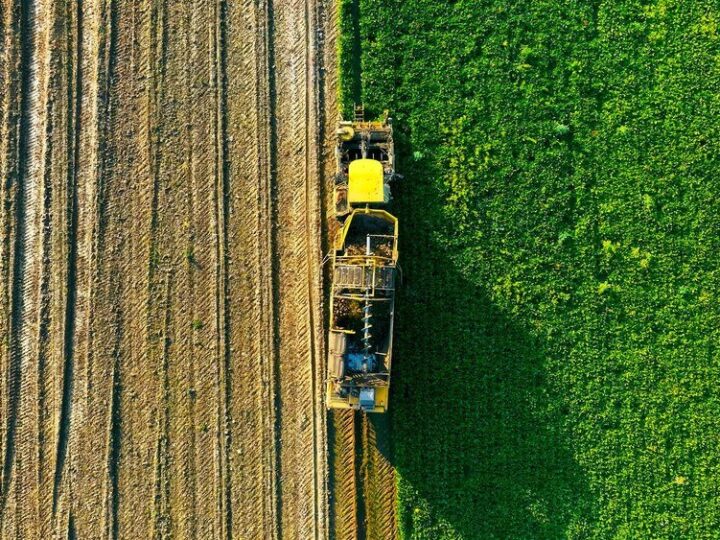 Wapno przed czy po orce – kiedy stosować najlepiej?