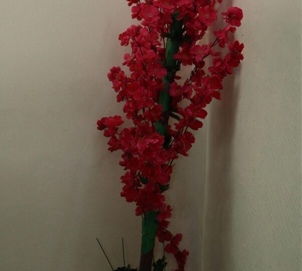 Tyczki bambusowe – praktyczne wsparcie dla Twoich roślin