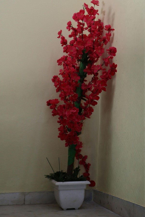 Tyczki bambusowe – praktyczne wsparcie dla Twoich roślin