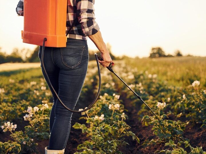 Czas od oprysku do deszczu – ile minut potrzeba, by zabieg był skuteczny?