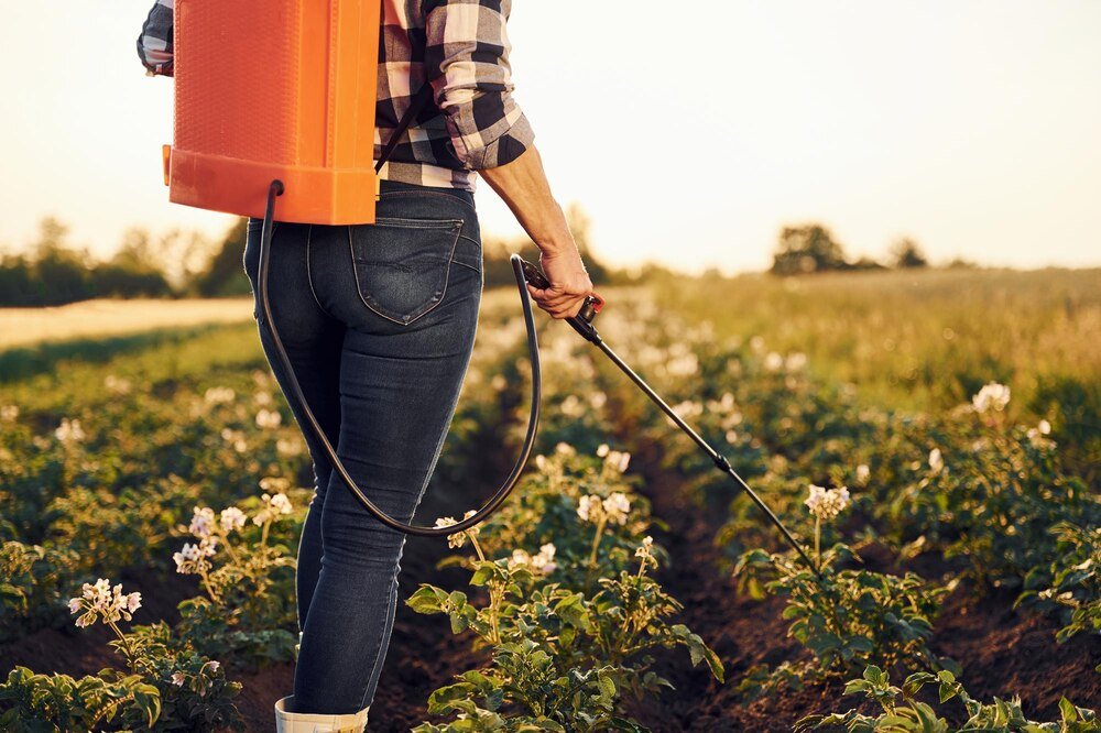 Czas od oprysku do deszczu – ile minut potrzeba, by zabieg był skuteczny?