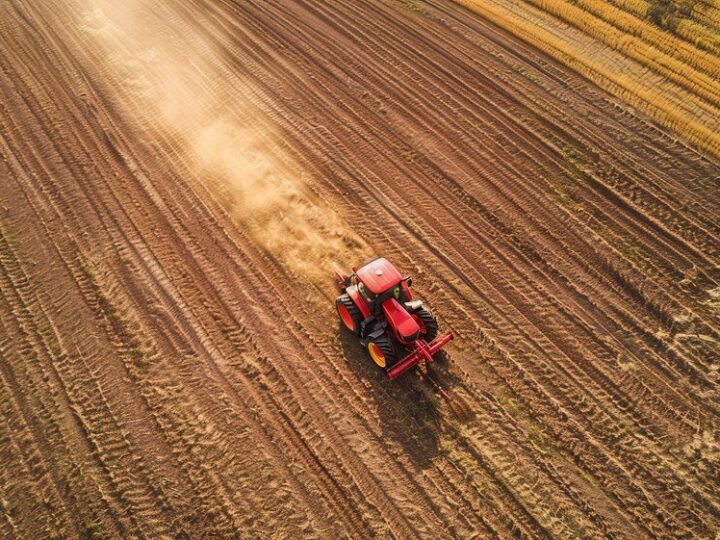 Czynniki pozaprzyrodnicze rozwoju rolnictwa – przykłady i znaczenie