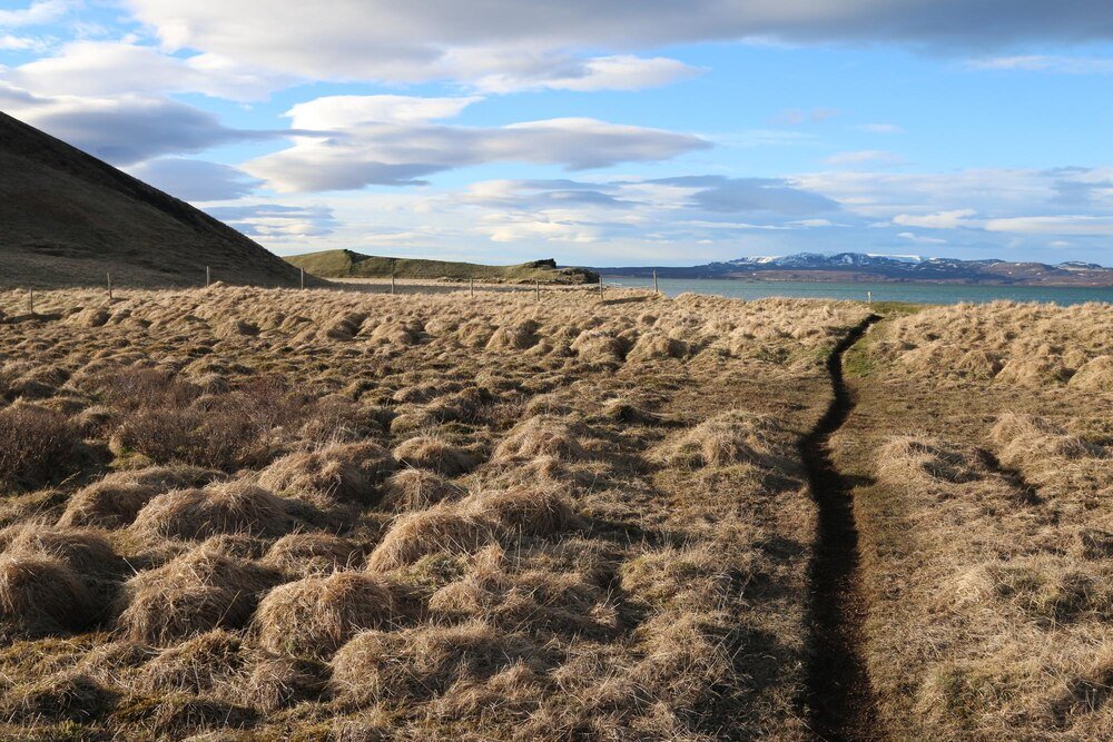 Gleby tundrowe – charakterystyka, właściwości, znaczenie dla rolnictwa