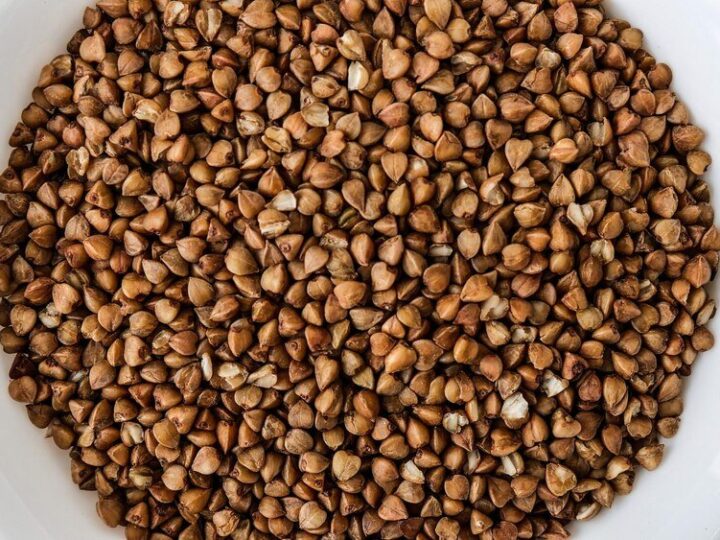 Gryka – kiedy kwitnie i jak wygląda na polu?