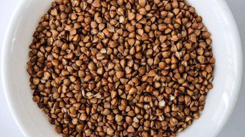 Gryka – kiedy kwitnie i jak wygląda na polu?