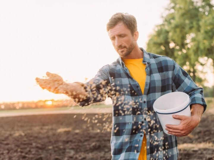 Ile obornika granulowanego na m² – dawkowanie dla najpopularniejszych upraw