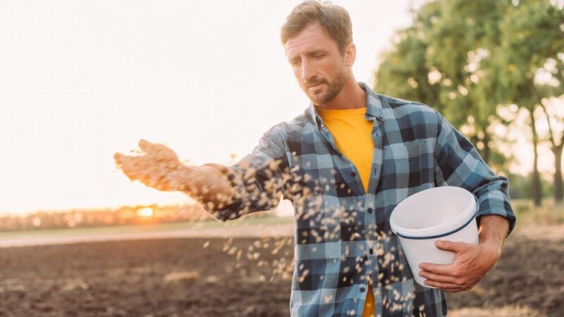 Ile obornika granulowanego na m² – dawkowanie dla najpopularniejszych upraw