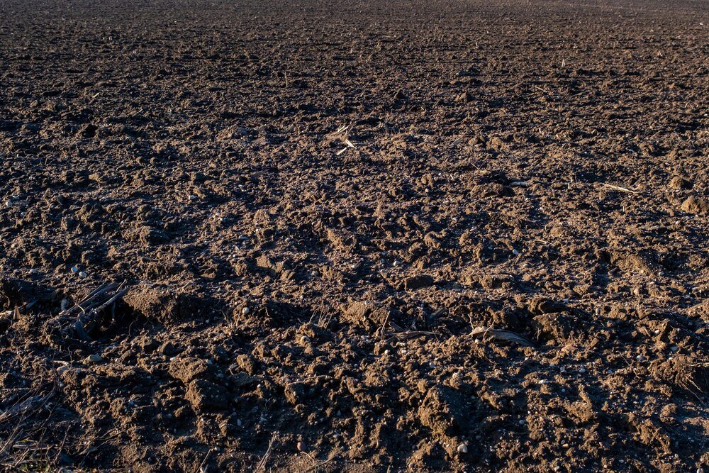 Jak długo działa mocznik w glebie – czas uwalniania azotu i efekty