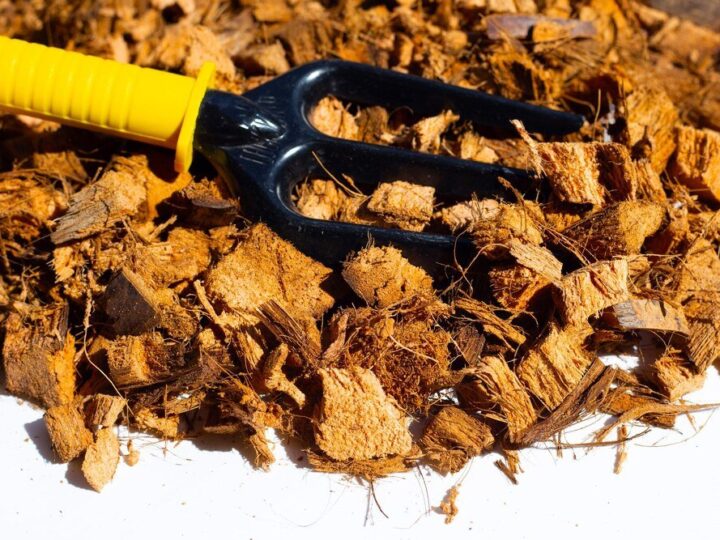 Jak zrobić nawóz z popiołu drzewnego – proporcje i bezpieczne stosowanie