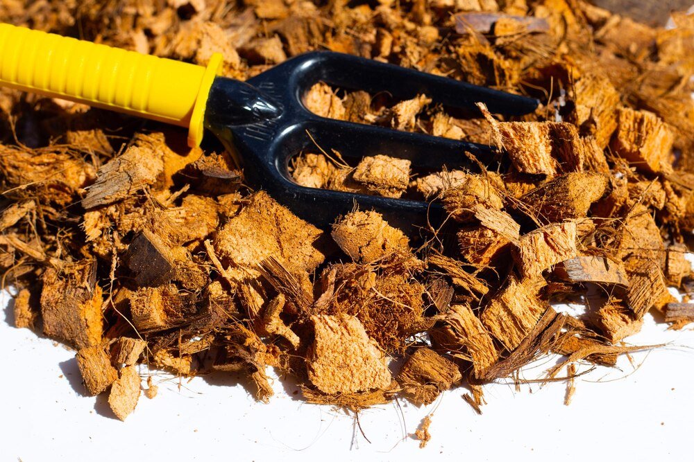 Jak zrobić nawóz z popiołu drzewnego – proporcje i bezpieczne stosowanie