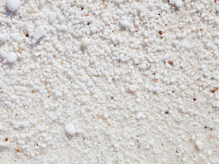 Kiedy i jak stosować wapno granulowane w uprawie warzyw?