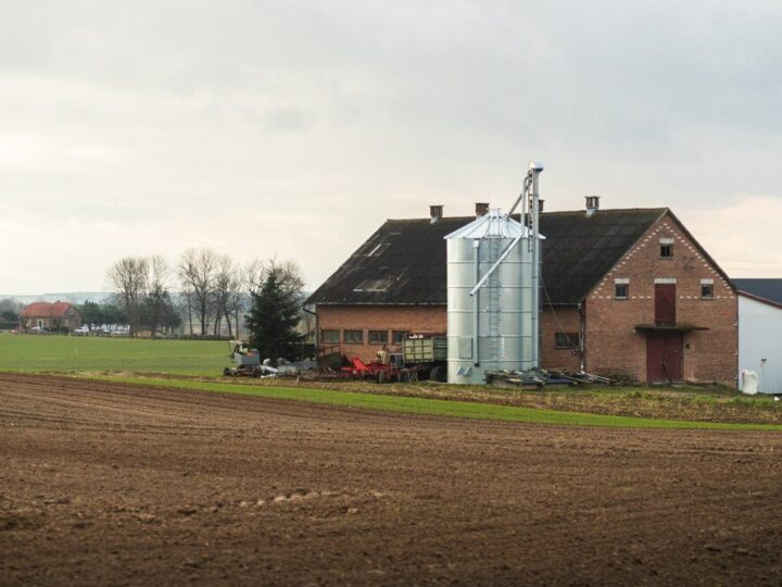 Największe gospodarstwo w Polsce – gdzie się znajduje i czym się zajmuje?