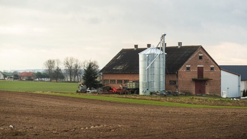 Największe gospodarstwo w Polsce – gdzie się znajduje i czym się zajmuje?