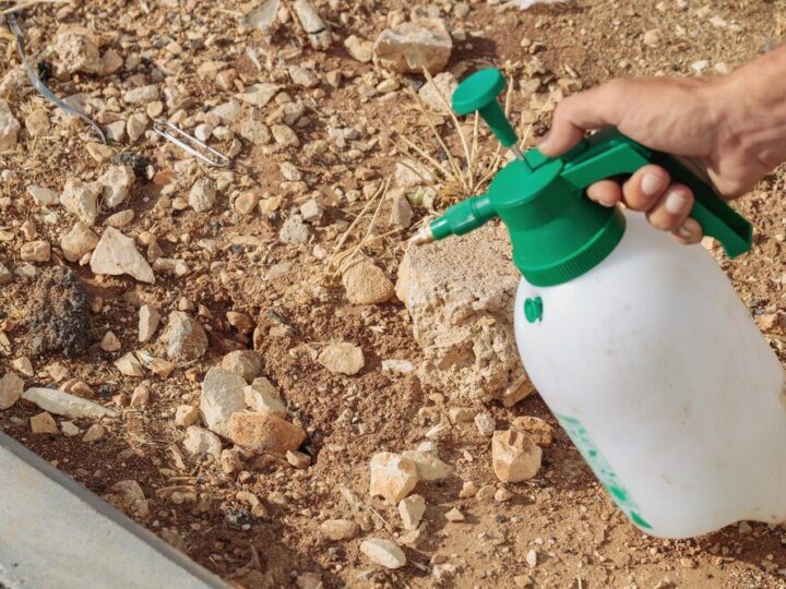 Naturalne i ekologiczne metody odkażania gleby w rolnictwie