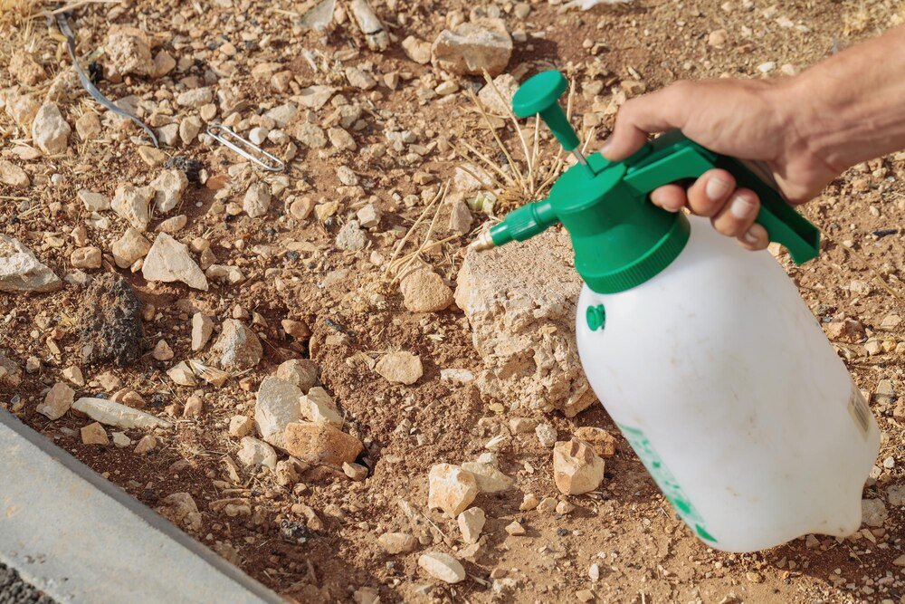 Naturalne i ekologiczne metody odkażania gleby w rolnictwie