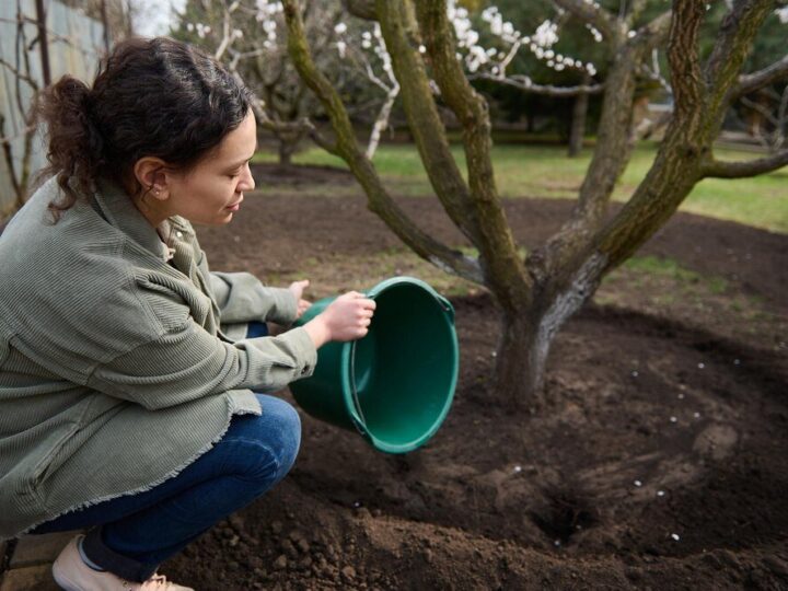 Naturalny nawóz do drzew owocowych – domowe przepisy i stosowanie