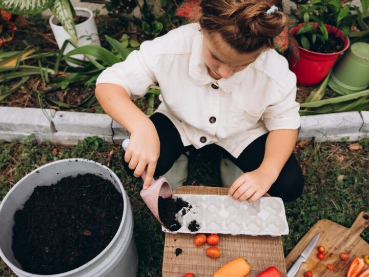 Naturalny nawóz do rabarbaru – najlepsze domowe receptury