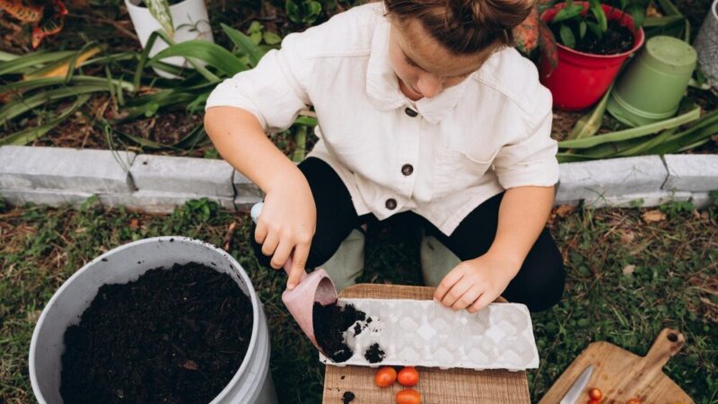 Naturalny nawóz do rabarbaru – najlepsze domowe receptury