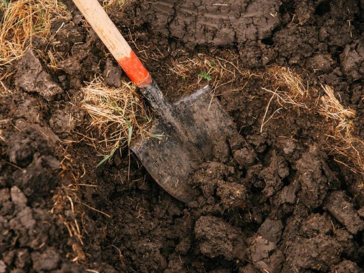 Odległość obornika od sąsiada – przepisy, normy i dobre praktyki