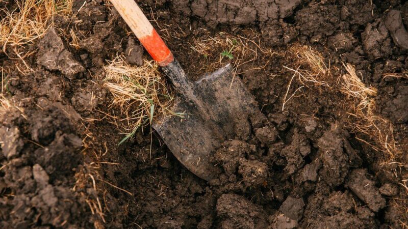 Odległość obornika od sąsiada – przepisy, normy i dobre praktyki