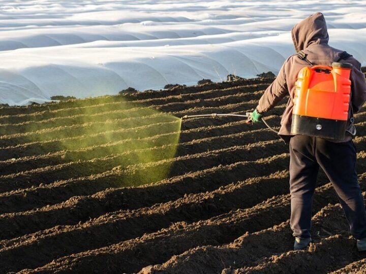 Siarczan magnezu siedmiowodny — zastosowanie i dawkowanie w rolnictwie