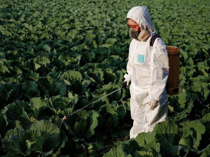 Skuteczność środka Scorpion 325 SC w zwalczaniu chorób grzybowych: opinie i dawkowanie