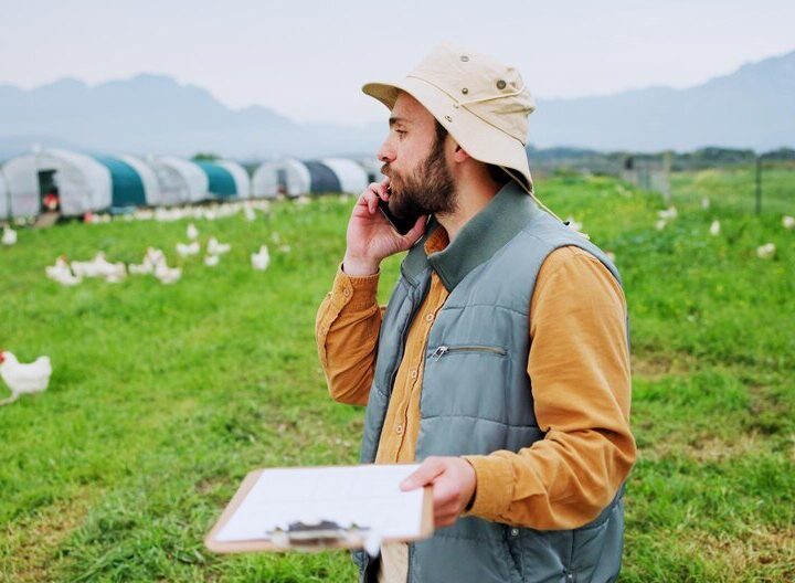 Specjalista od pastwisk – kiedy warto skorzystać z jego pomocy?