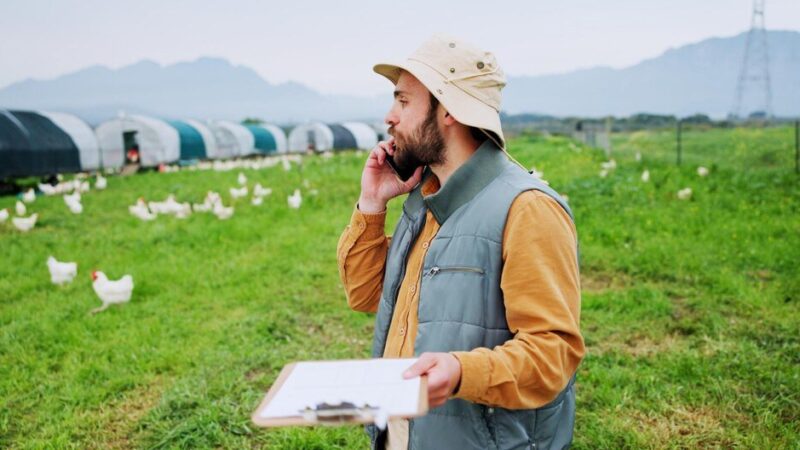 Specjalista od pastwisk – kiedy warto skorzystać z jego pomocy?