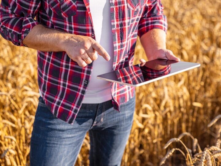 Typy rolnictwa – podział, cechy, przykłady