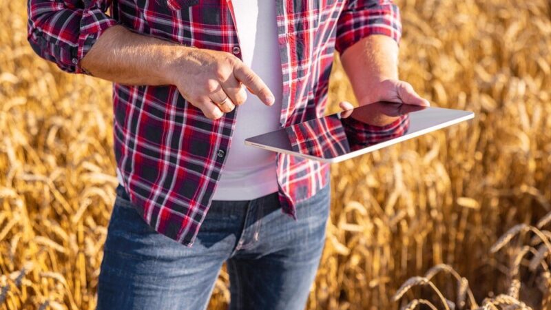 Typy rolnictwa – podział, cechy, przykłady