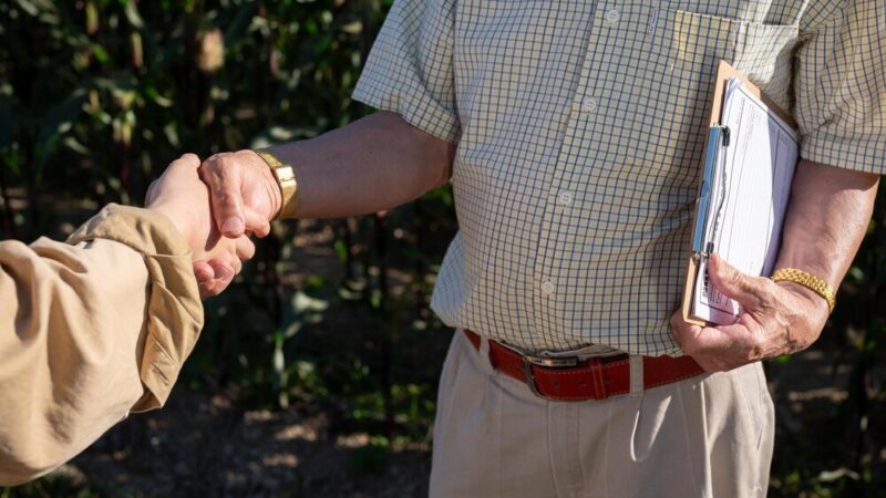 Wzór umowy dzierżawy gruntów – najważniejsze zapisy dla rolników