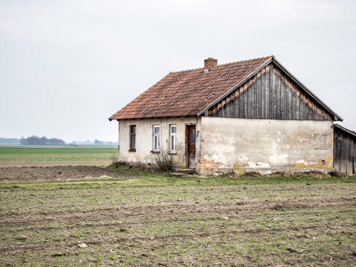 Działka siedliskowa – co to jest i kto może ją kupić?